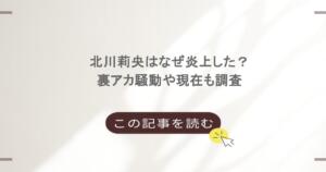 北川莉央はなぜ炎上した？裏アカ騒動や現在も調査