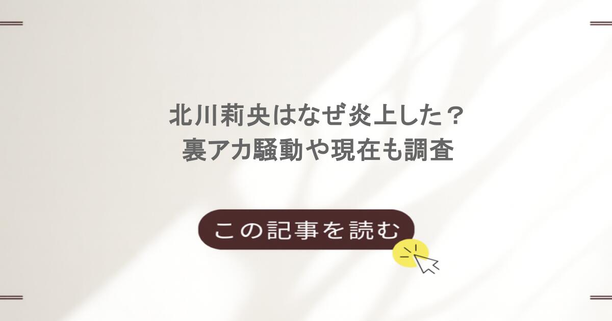 北川莉央はなぜ炎上した？裏アカ騒動や現在も調査